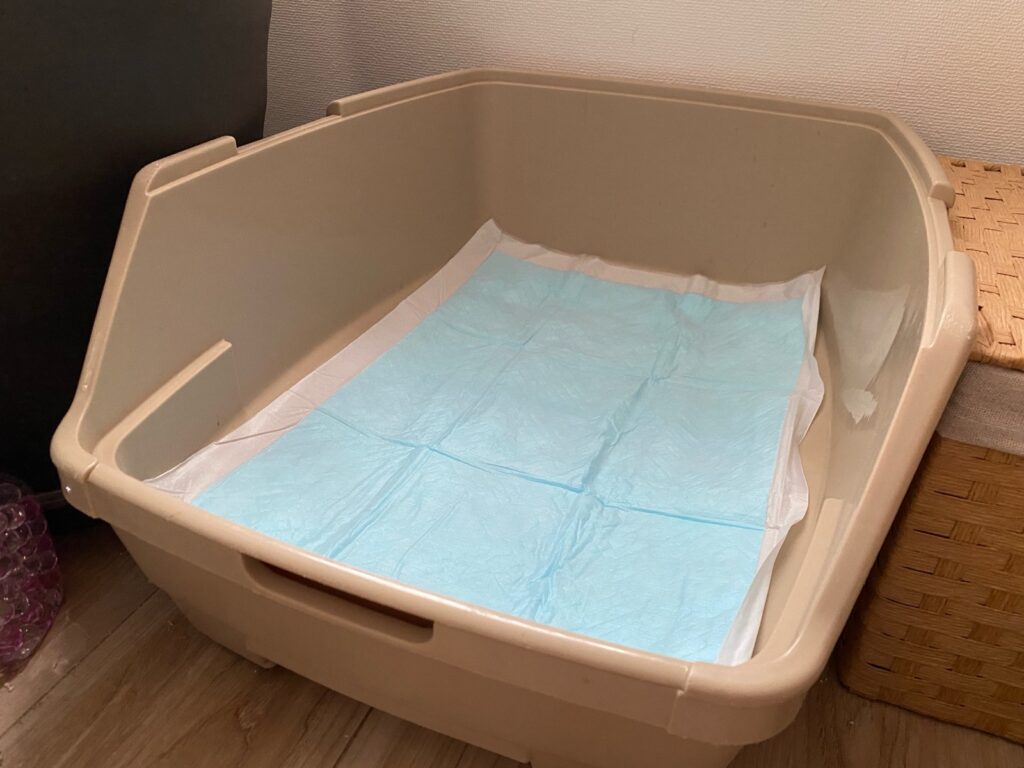 ペットシーツを使ったトイレ